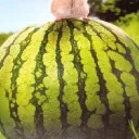 Аватар sunset7sss