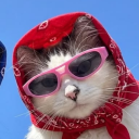 Discord Avatar