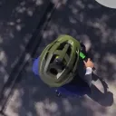 bob_jonesiv