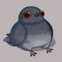 jelif_