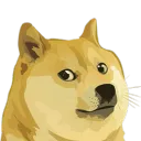doge4460