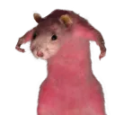 _e_o_