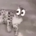 mxtejj