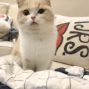 kinki.kyo