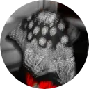 rphiv
