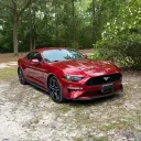 rippybuildscars