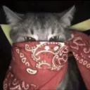 iyorioknight