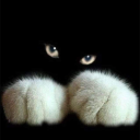 avatar -`ღ´-NixDaDa-`ღ´-  Rosenblut