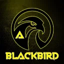 blackbirdakg8204