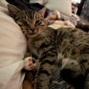 avatar MOVED TO @aiqo