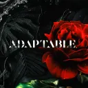 uhhdaptable6721
