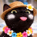 avatar เข่งเค๊ง