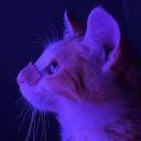 avatar BetterThanUbruh