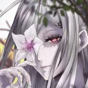 echocolat