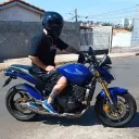 shark_95