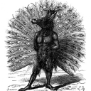 Sepharviam
