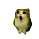 illqry