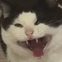 juuzou_53