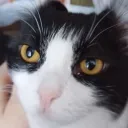 Аватар mrbublik22