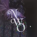 nephiliawonderlandobscura