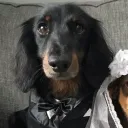 reysapo avatar