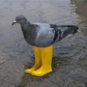 crepscripts