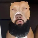 daddyd4wn