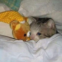 Depression Bot