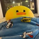 llavaduck