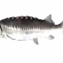 avatar FISHyBusiness