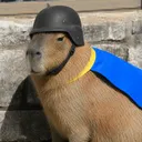 patonkipahis