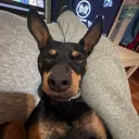 milla6666