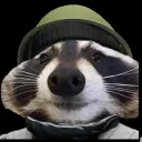 logan_789