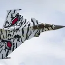scoutv
