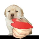 avatar g  ࣪ ִִ  𐙚