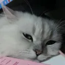 mrhwang