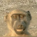 commiterror