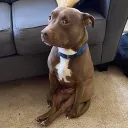 rob_sassy