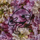 rooterzooter