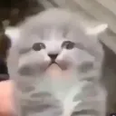 oshmop