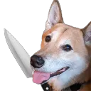 lynntendowii