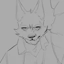 coyote.com