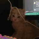 curvil
