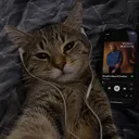 yeavexvr