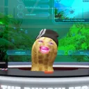 yeavexvr