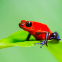 avatar llllllllllllmega