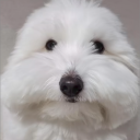 avatar llllllllllllmega