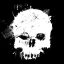 stady_