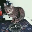 revaled