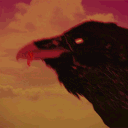 avatar crow